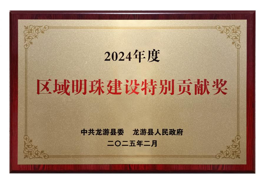 17389759585555347866.jpg 2024區(qū)域明珠建設特別貢獻獎.jpg